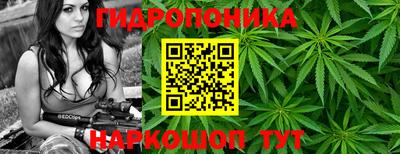индика Бузулук
