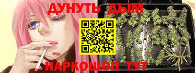 наркотики Будённовск