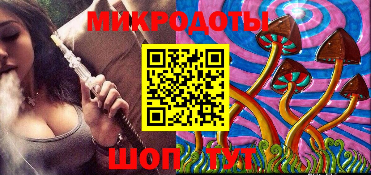 Псилоцибиновые грибы GOLDEN TEACHER  купить закладку  Электросталь  Вход с VPN  Галлюциногенные грибы MAGIC MUSHROOMS 